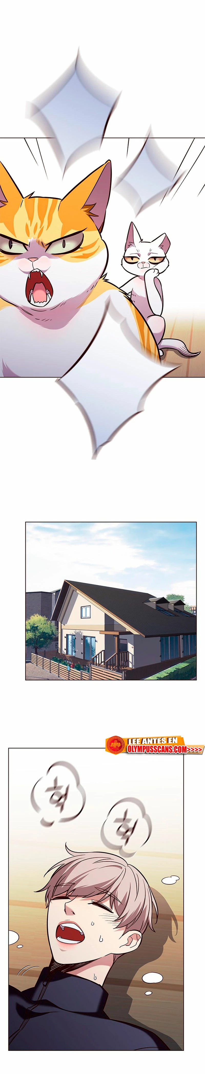 Read Academia de la Ascensión Manga Online