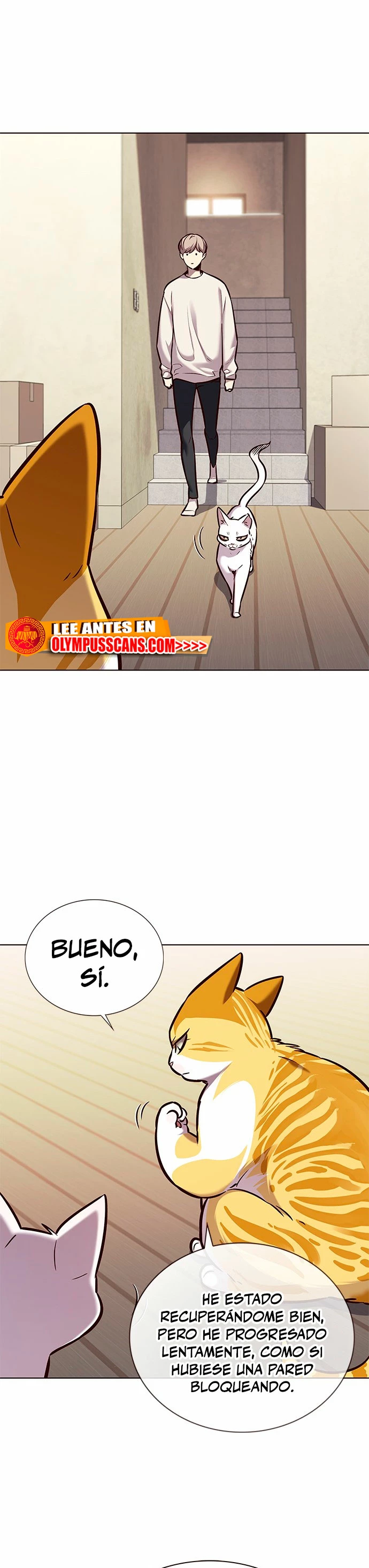 Read Academia de la Ascensión Manga Online