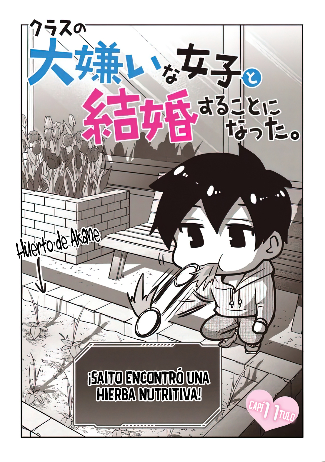 Read Class no Daikirai na Joshi to Kekkon Suru Koto ni Natta Manga Online