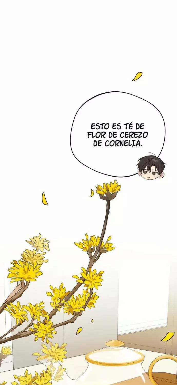 Read El Demonio Celestial de los Masajes Manga Online