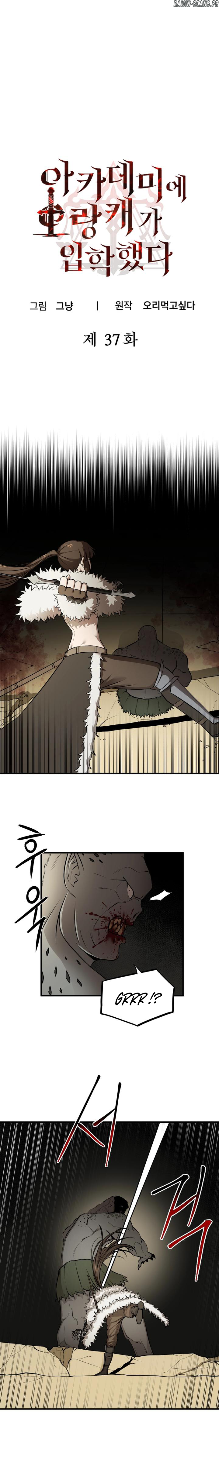 Read A Barbarian Was Admitted to the Academy  Manga Online