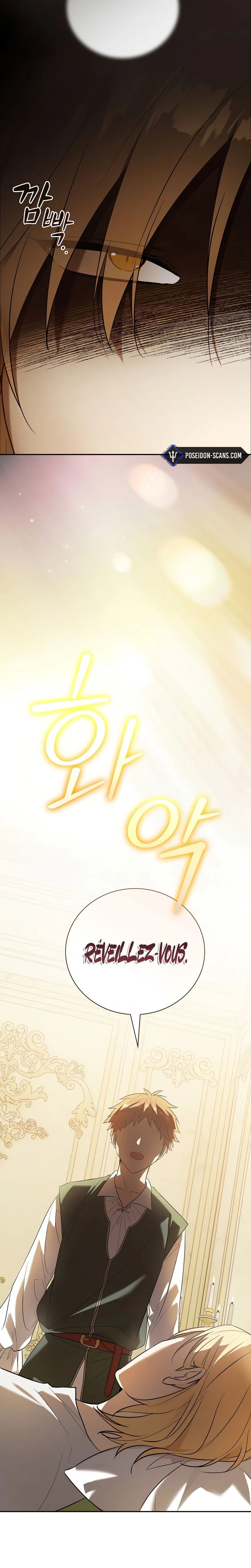 Read A Mercenary's Rebirth Among Nobles  Manga Online