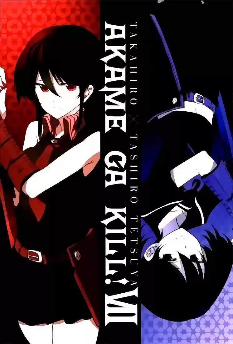 Read Akame Ga Kill  Manga Online
