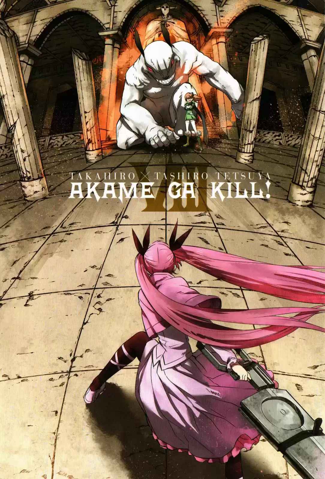 Read Akame Ga Kill  Manga Online