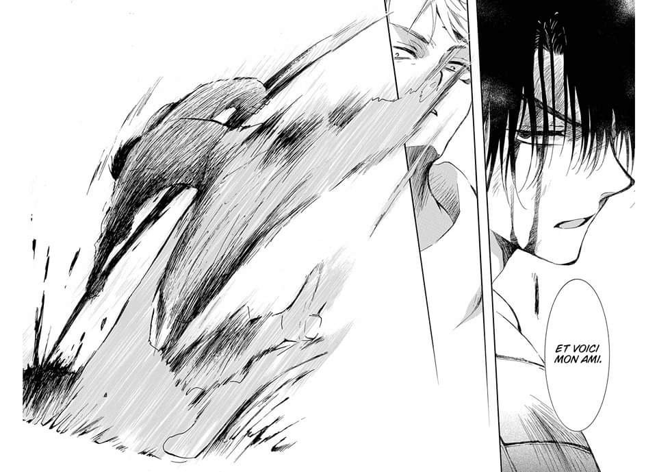 Read Akatsuki no Yona  Manga Online