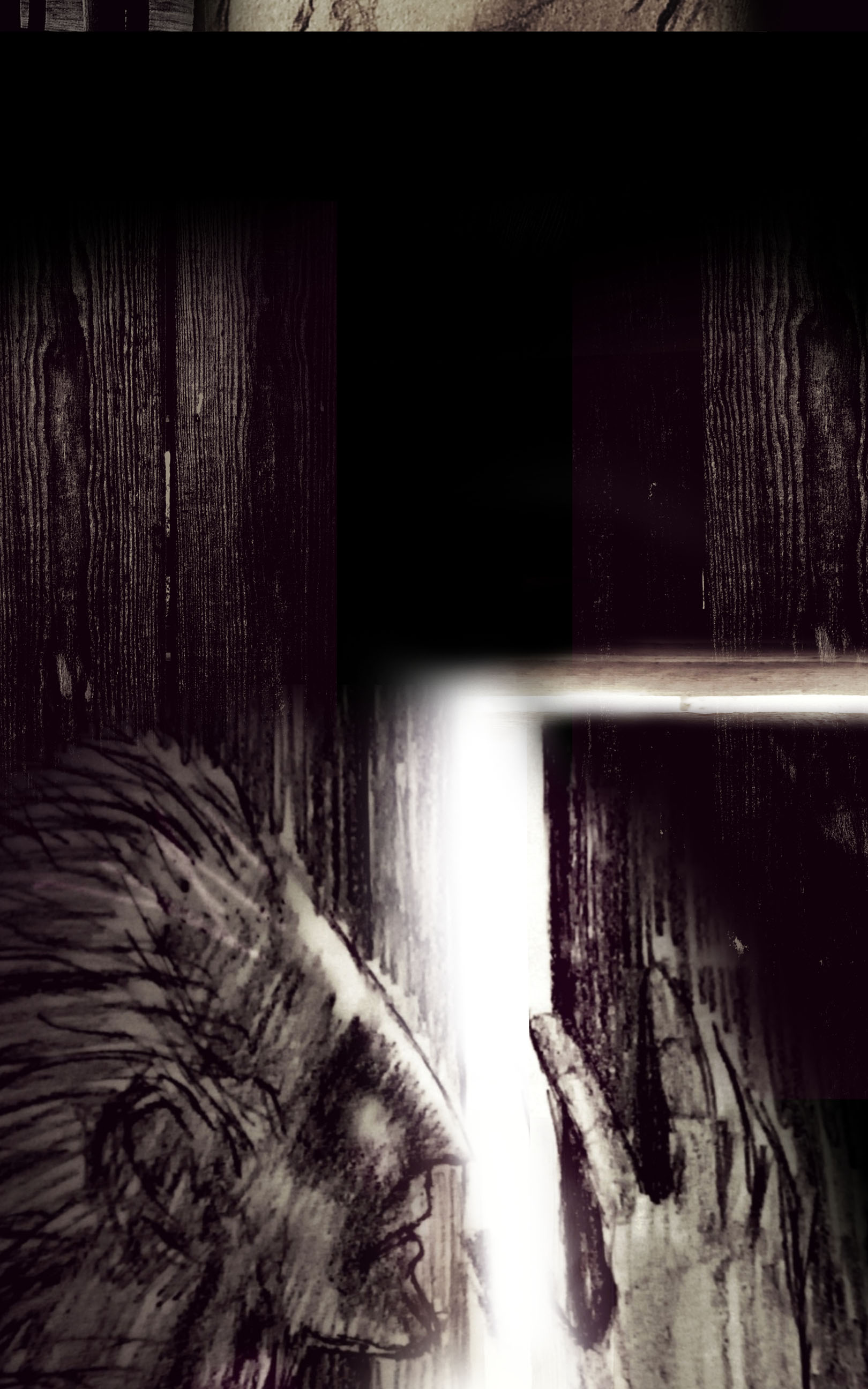 Read Damna Rituel Manga Online