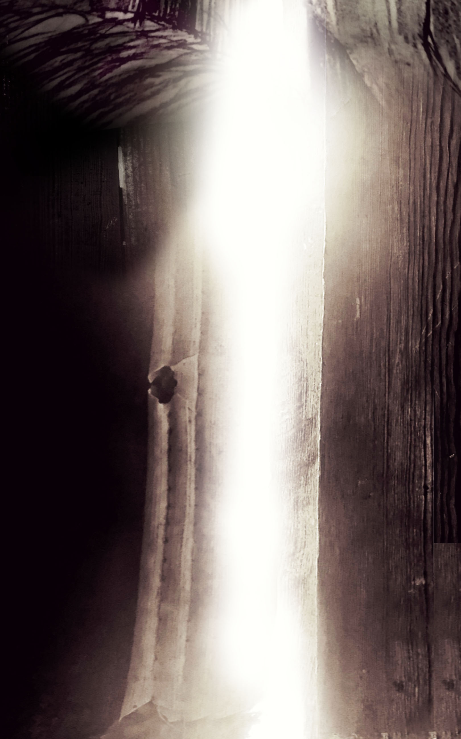 Read Damna Rituel Manga Online