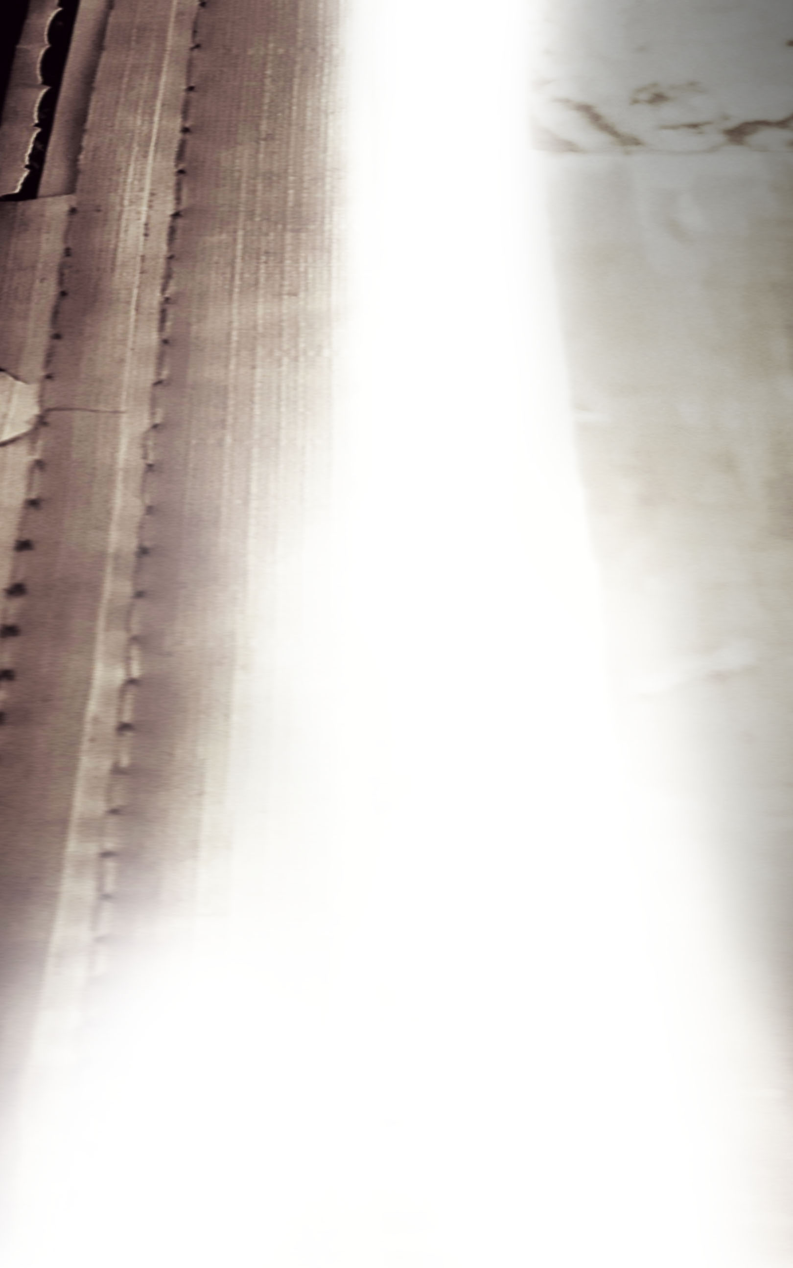 Read Damna Rituel Manga Online