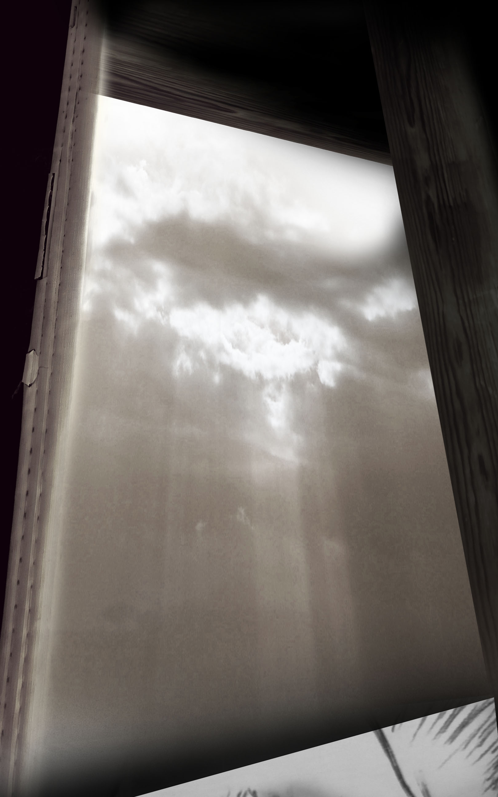 Read Damna Rituel Manga Online