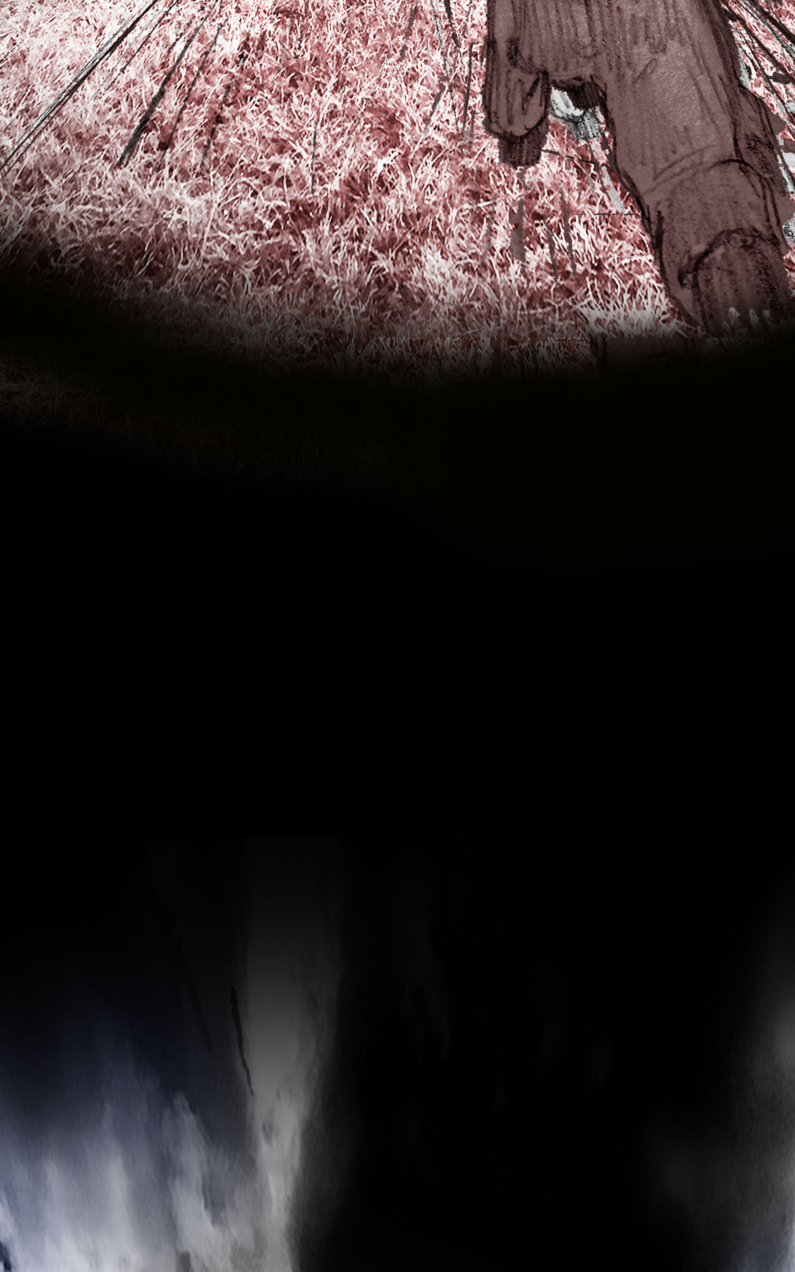 Read Damna Rituel Manga Online