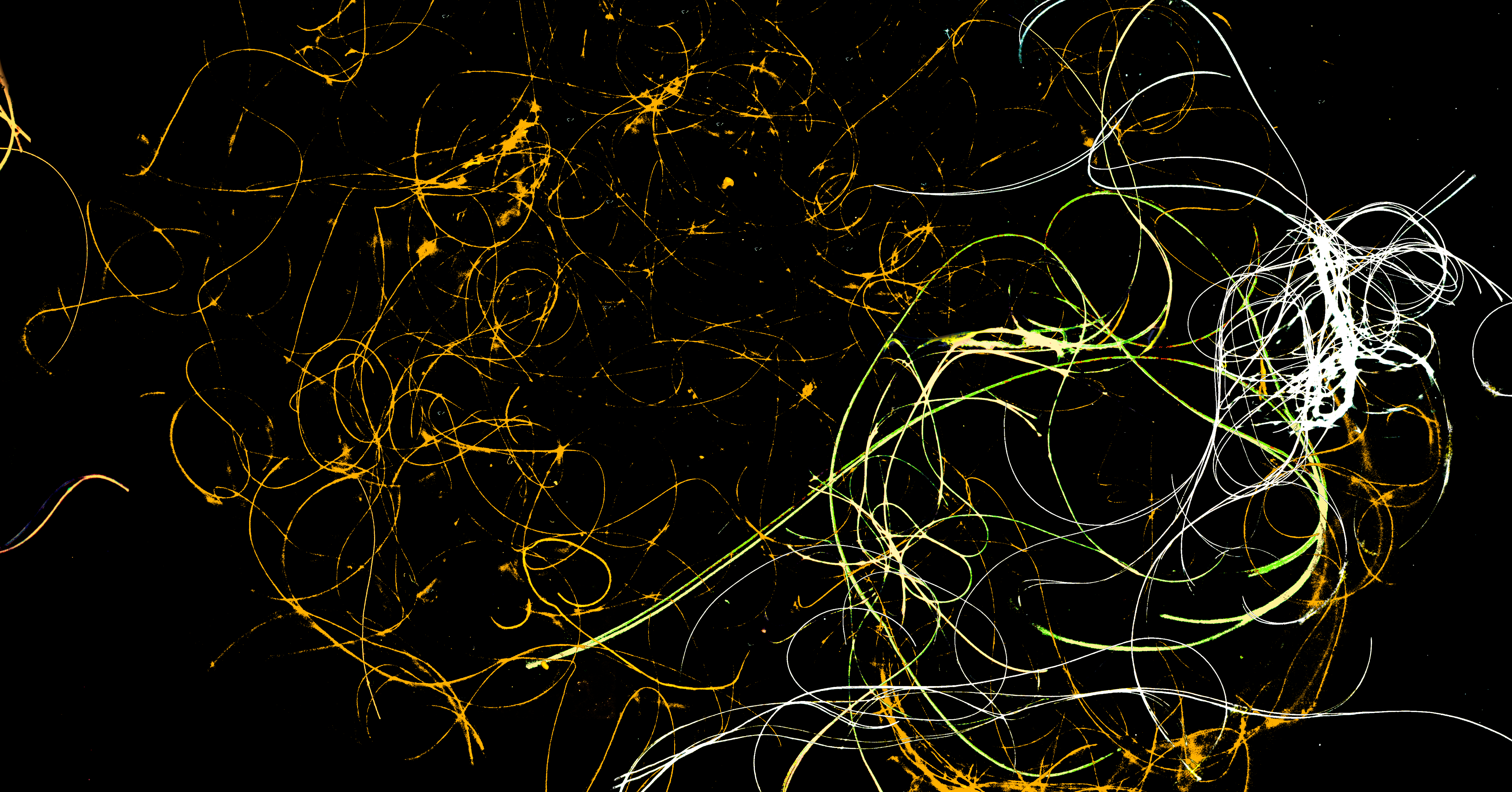 Read Trop-plein Manga Online