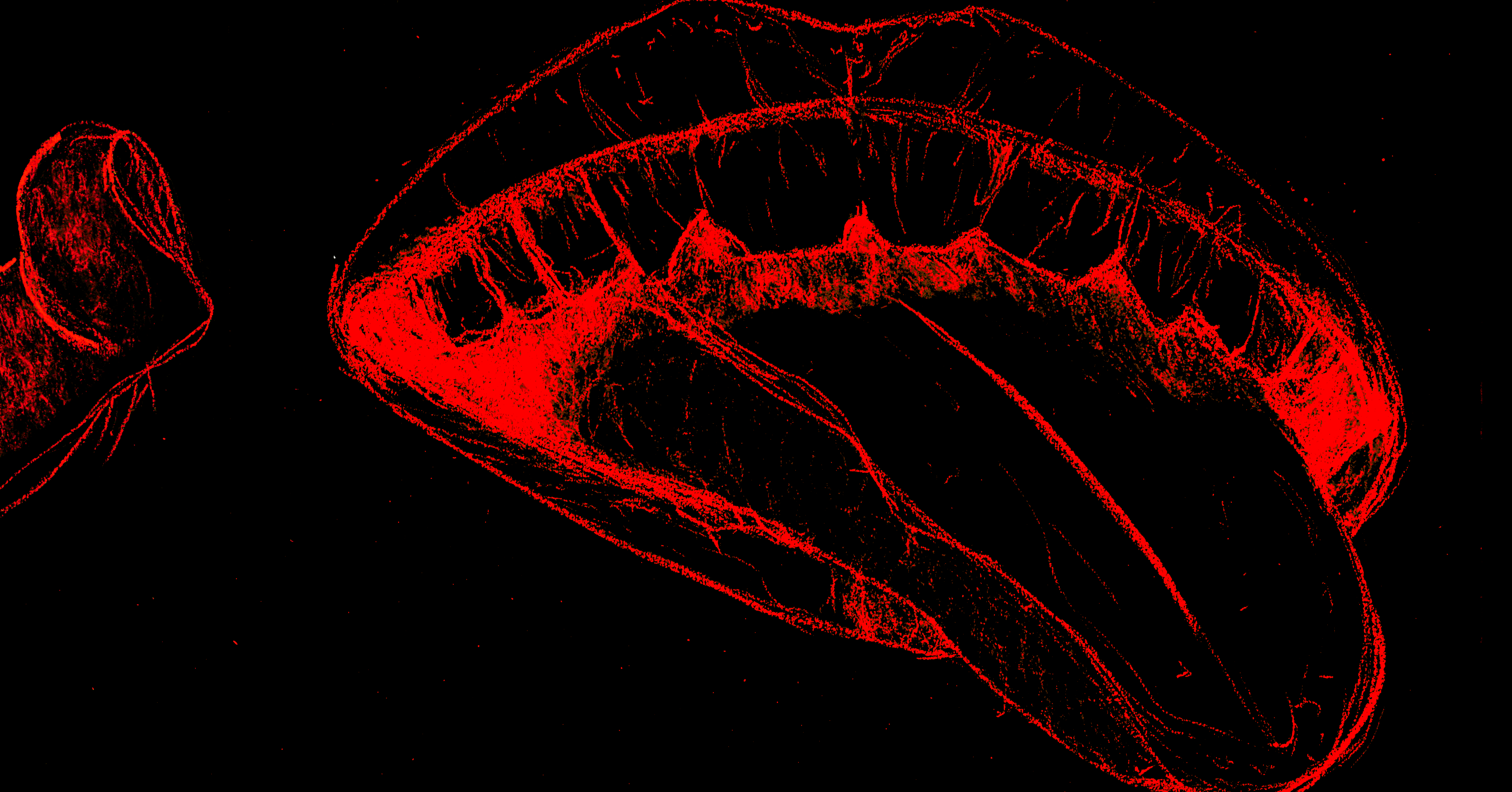 Read Trop-plein Manga Online