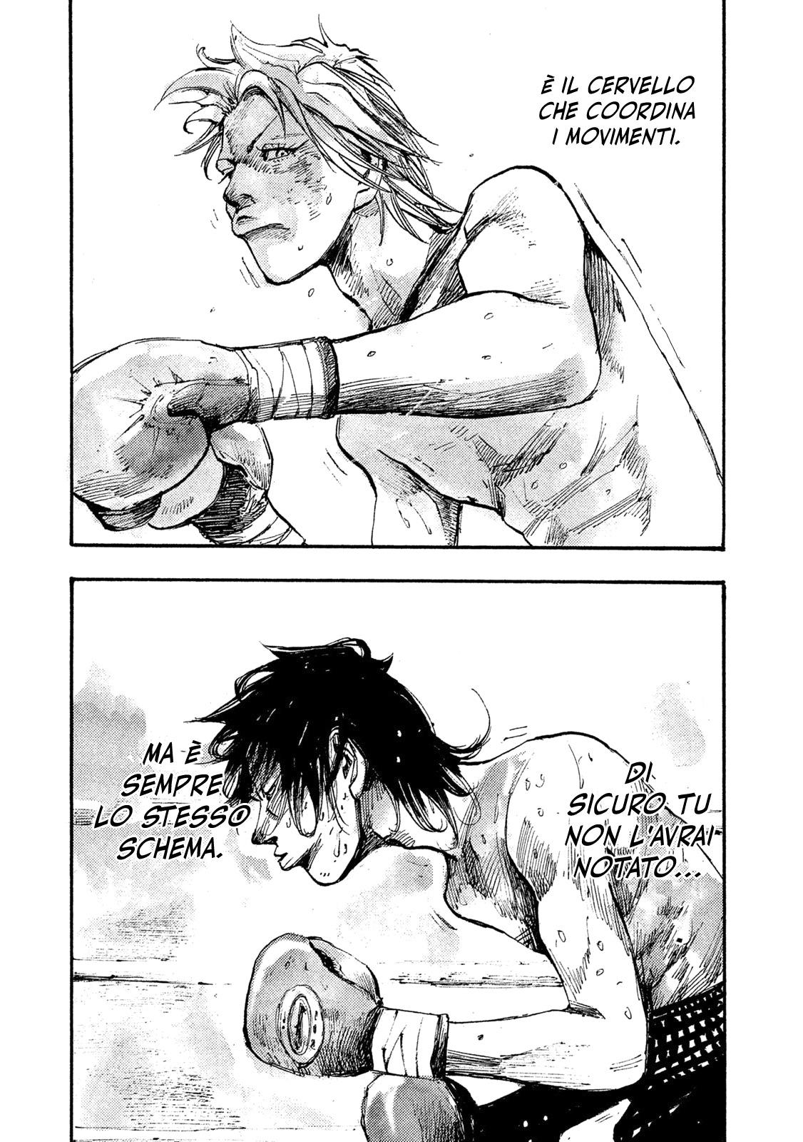 Read Black Box Manga Online