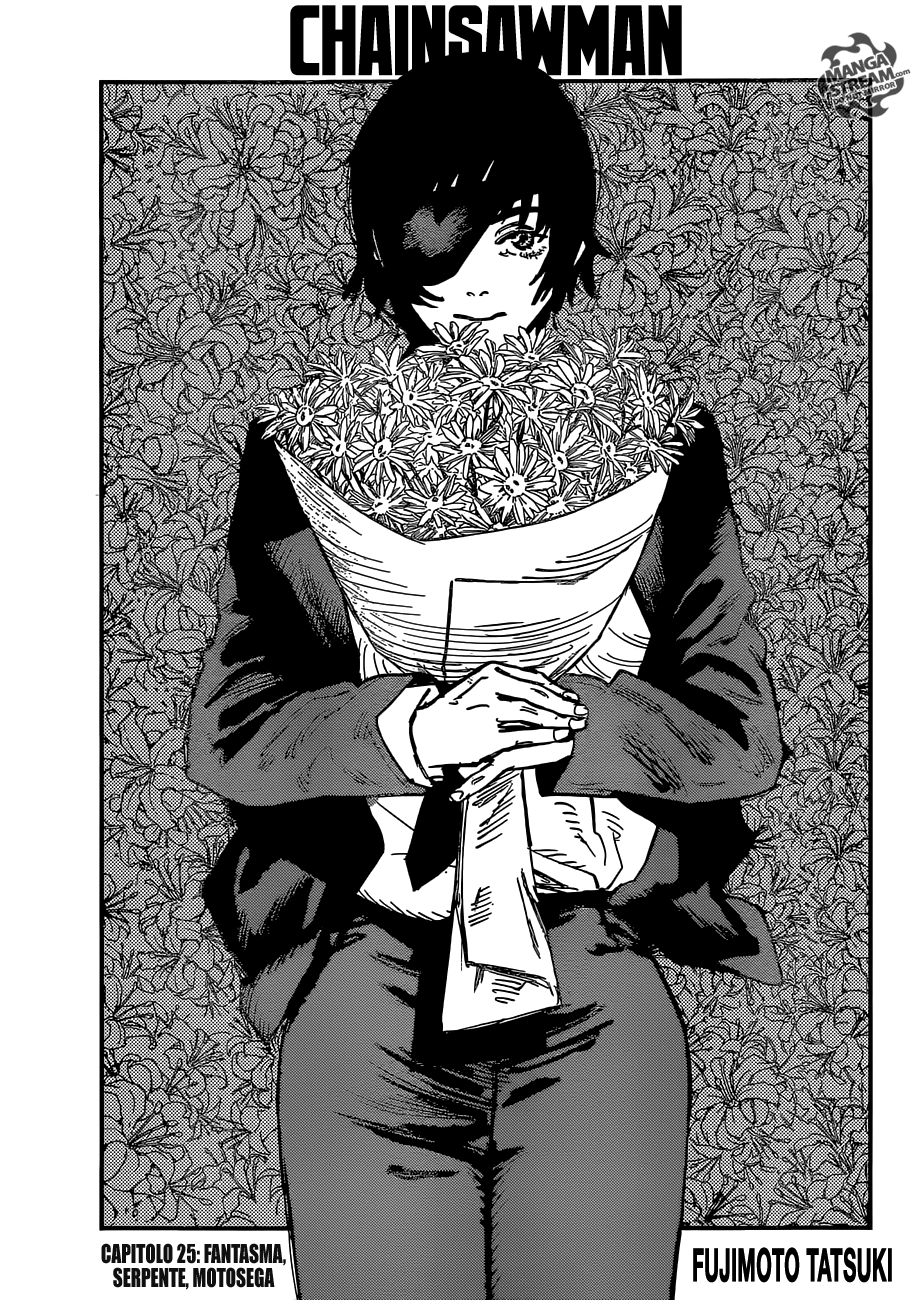 Read Chainsaw Man Manga Online