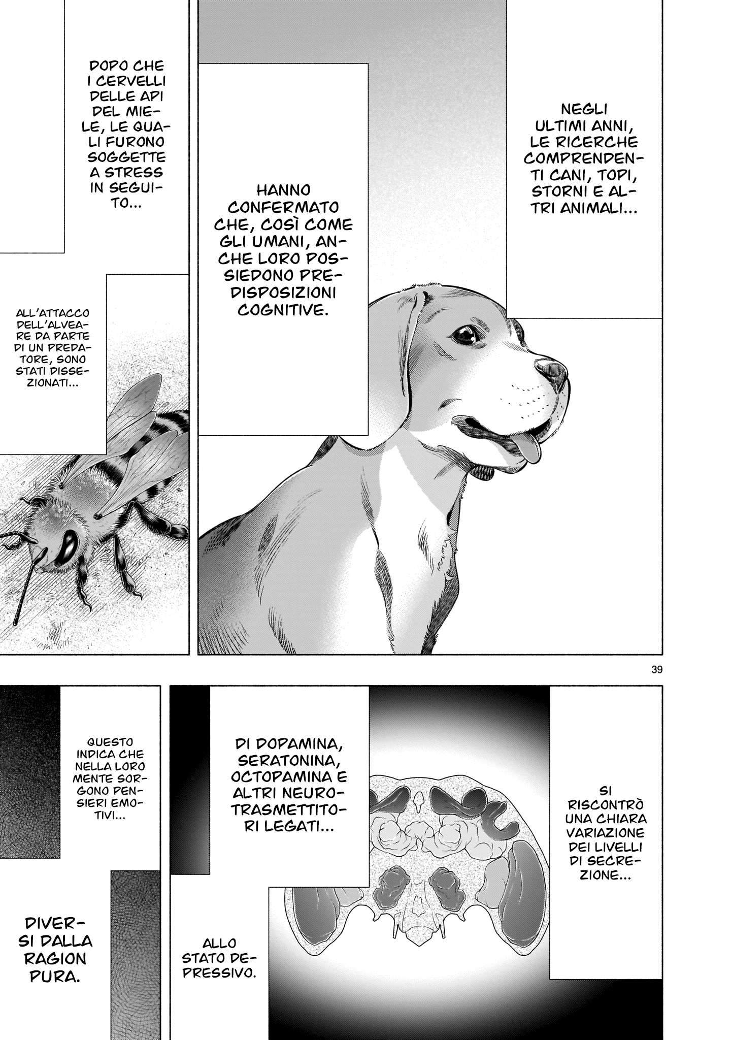 Read Himenospia Manga Online