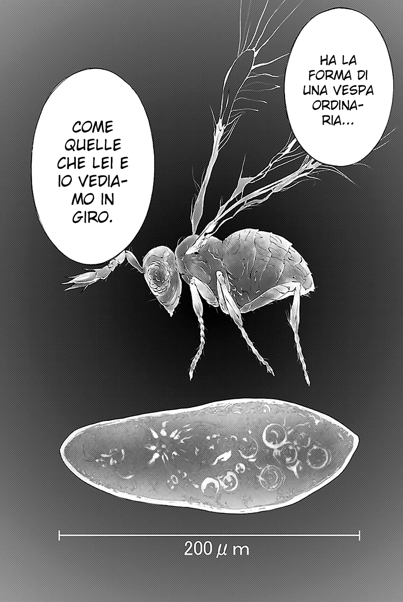 Read Himenospia Manga Online