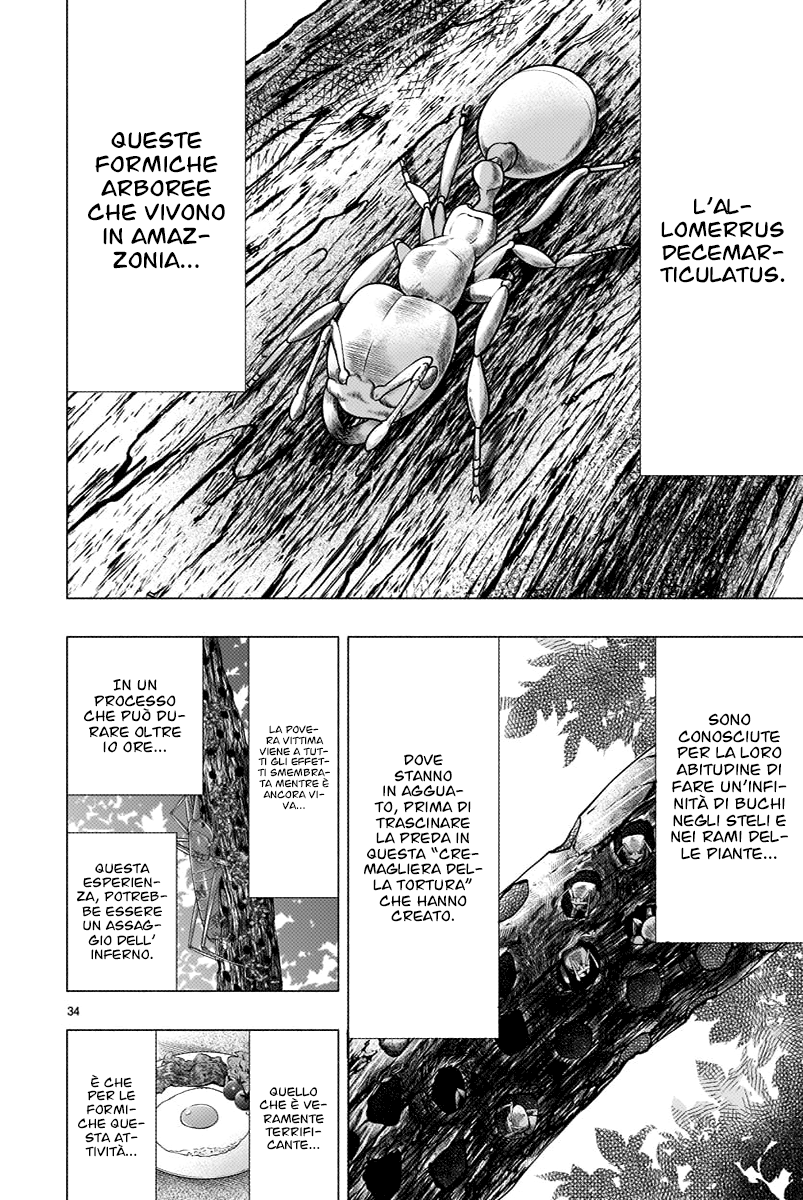 Read Himenospia Manga Online