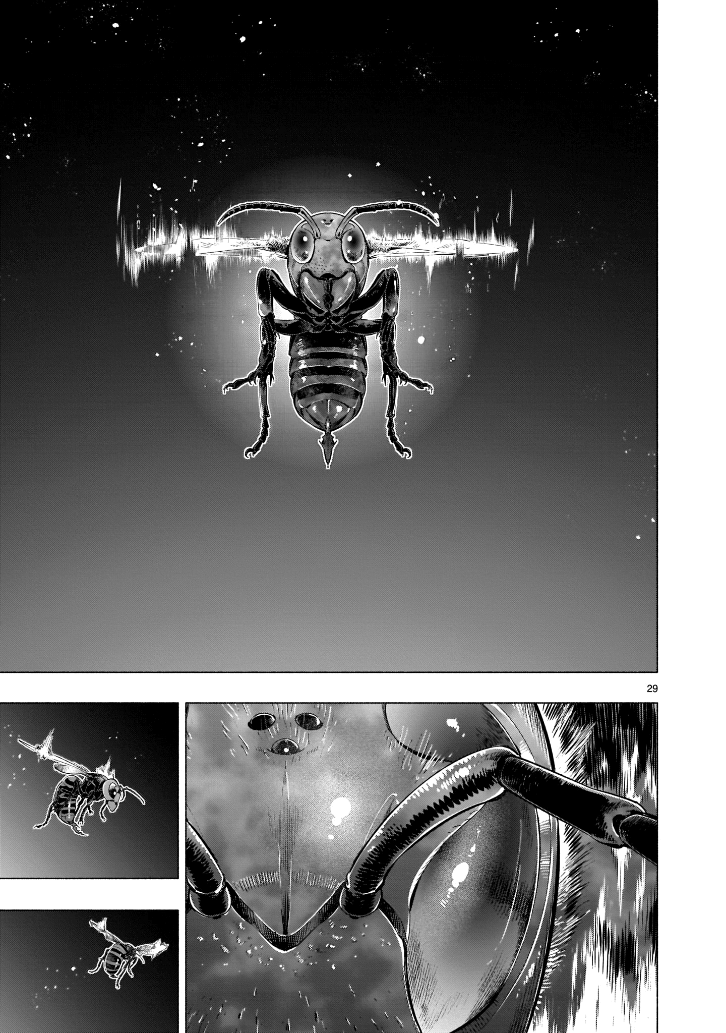 Read Himenospia Manga Online