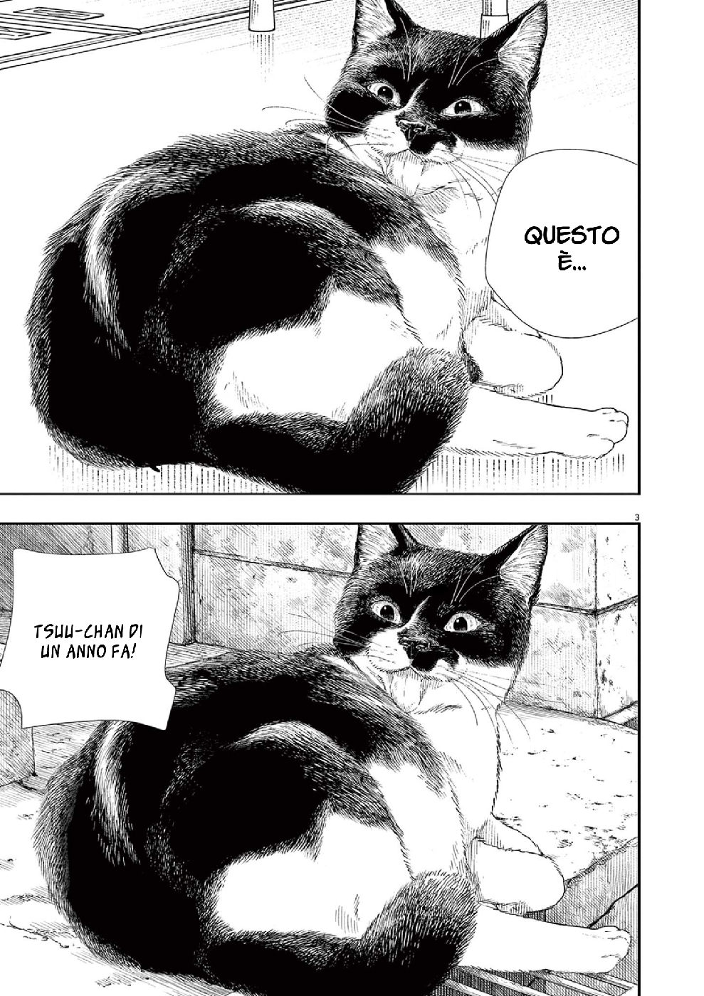 Read Insomniacs After School Manga Online