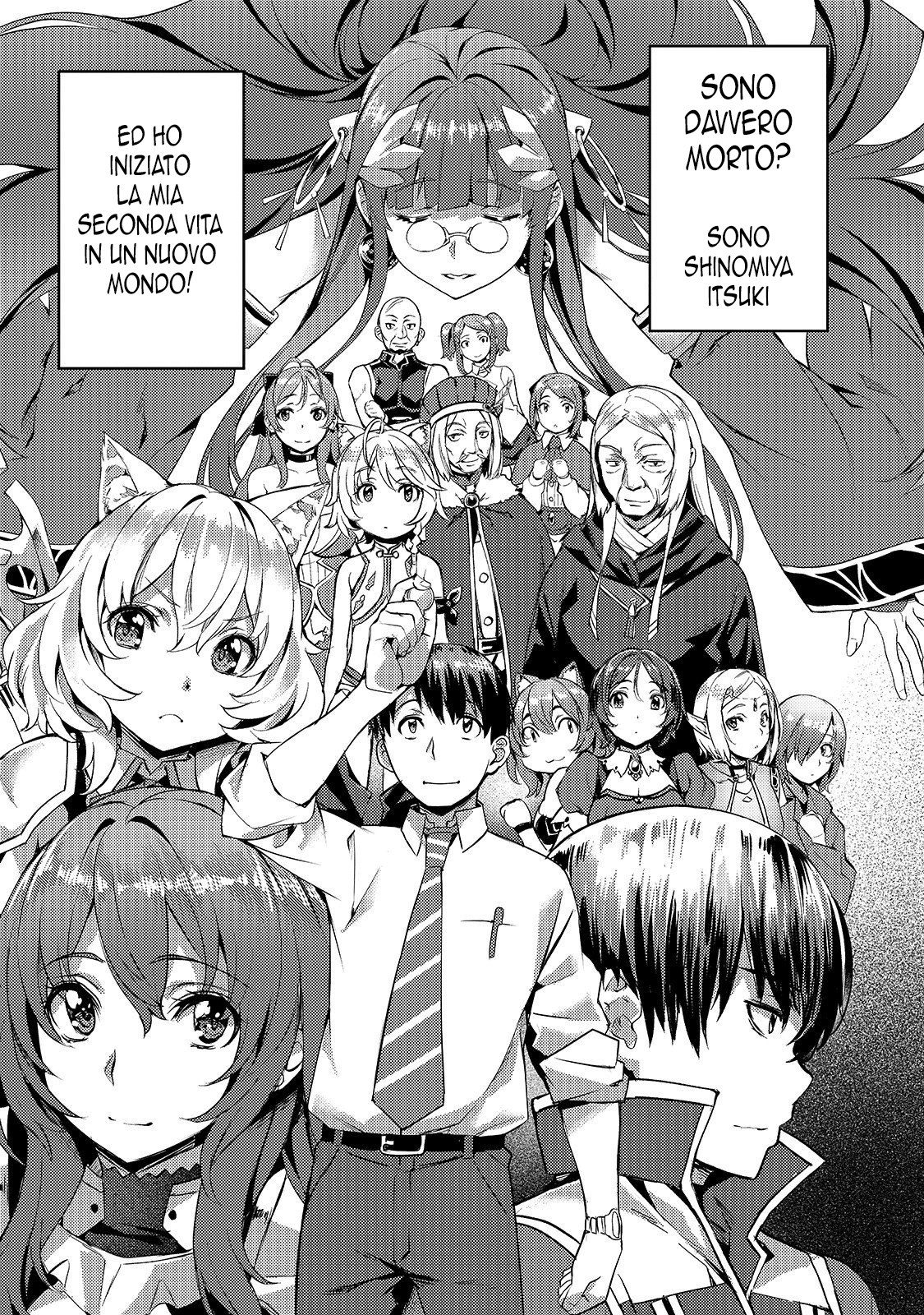 Read Isekai de slow life wo ganbou Manga Online