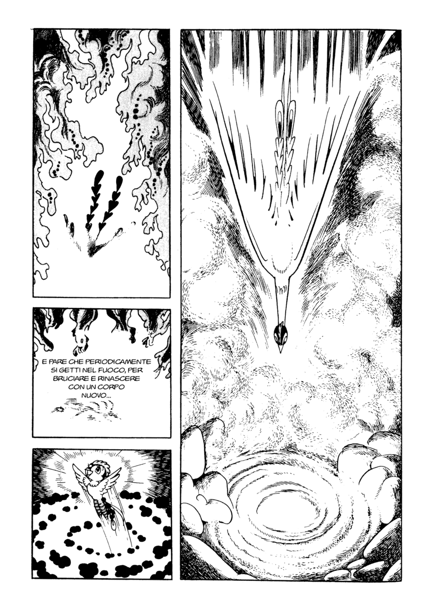 Read La fenice Manga Online