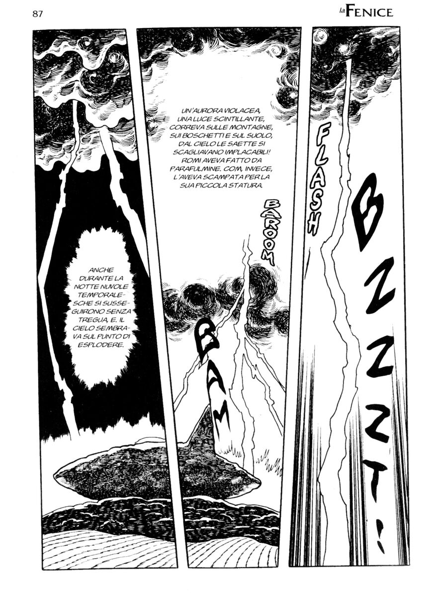 Read La fenice Manga Online