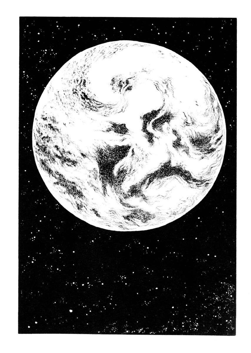 Read La fenice Manga Online