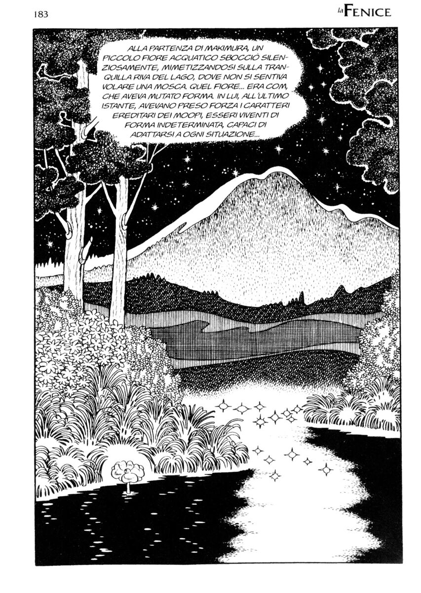 Read La fenice Manga Online