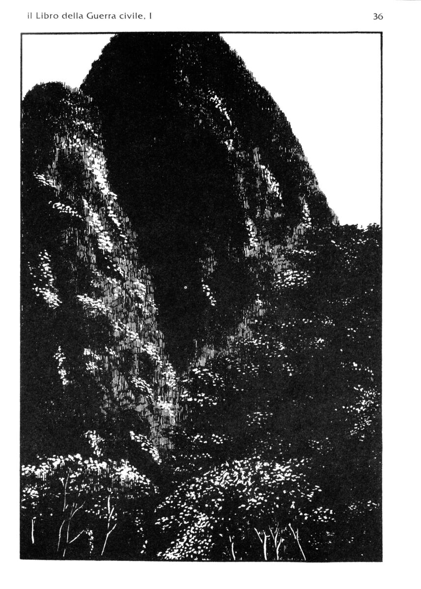 Read La fenice Manga Online