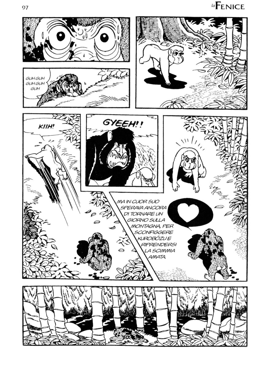 Read La fenice Manga Online