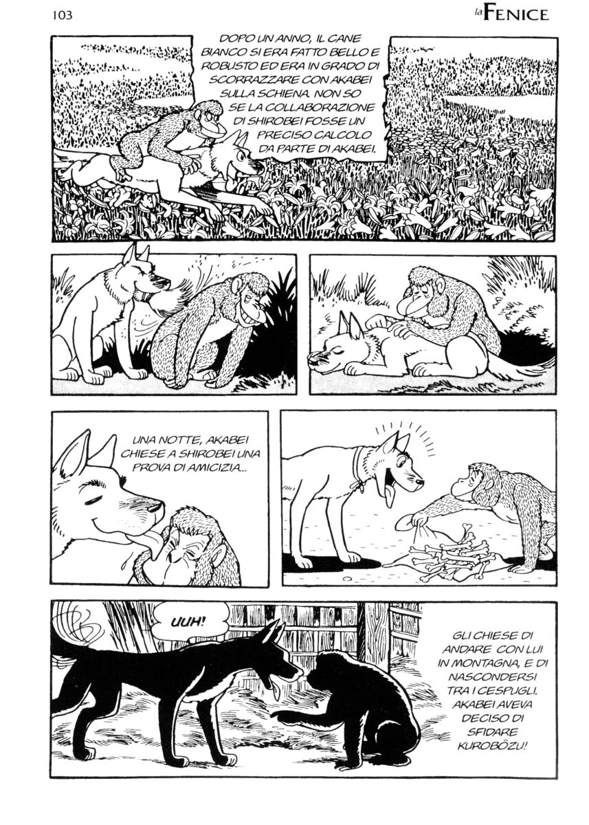 Read La fenice Manga Online