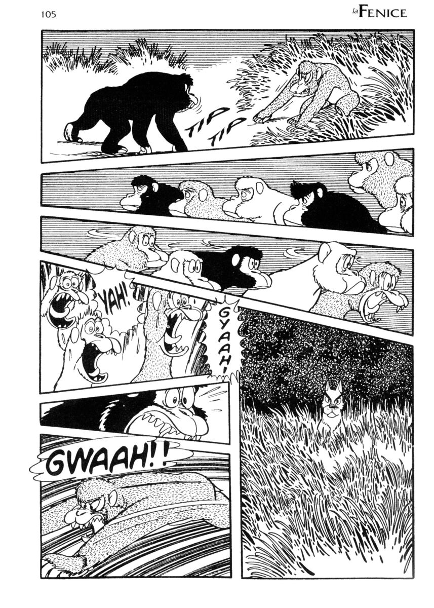 Read La fenice Manga Online