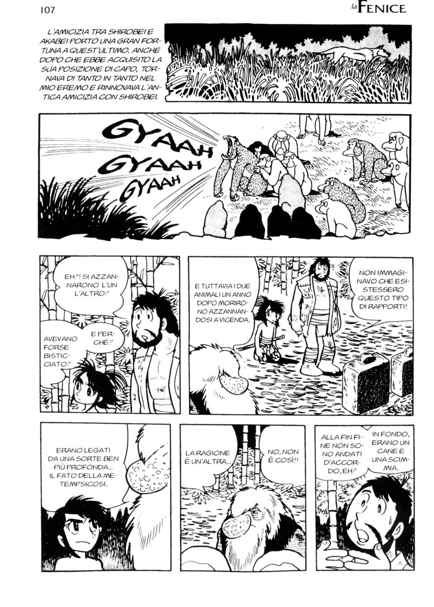 Read La fenice Manga Online