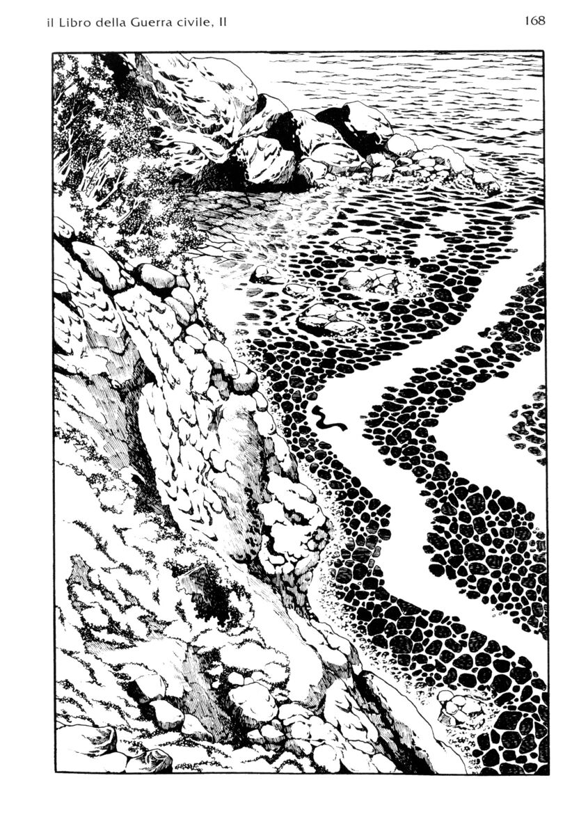 Read La fenice Manga Online