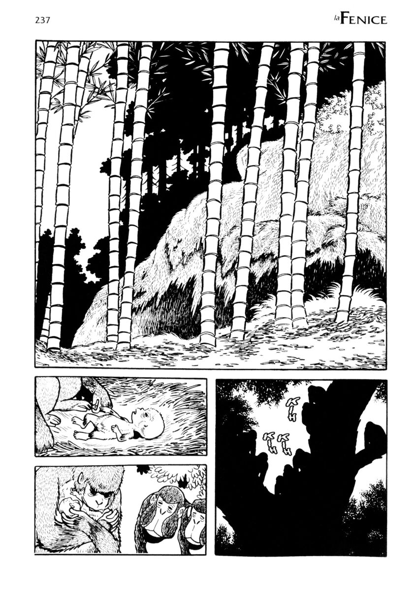 Read La fenice Manga Online