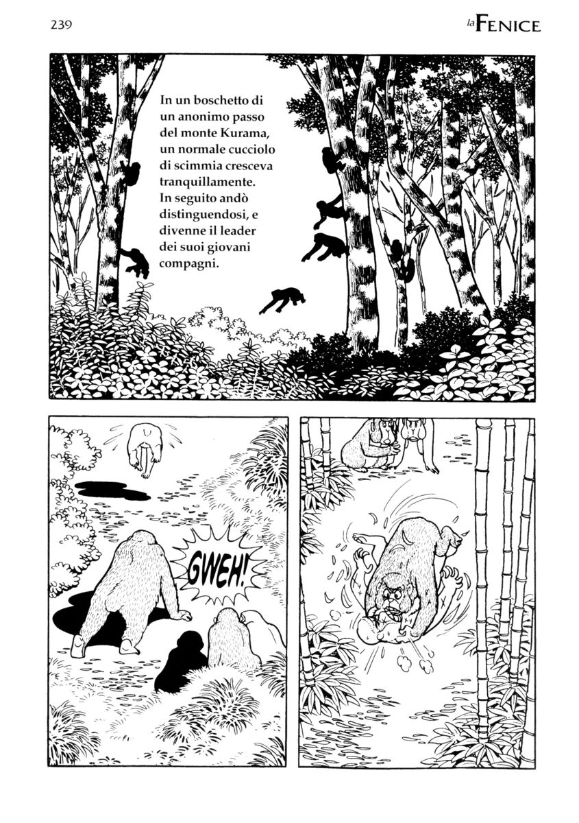 Read La fenice Manga Online