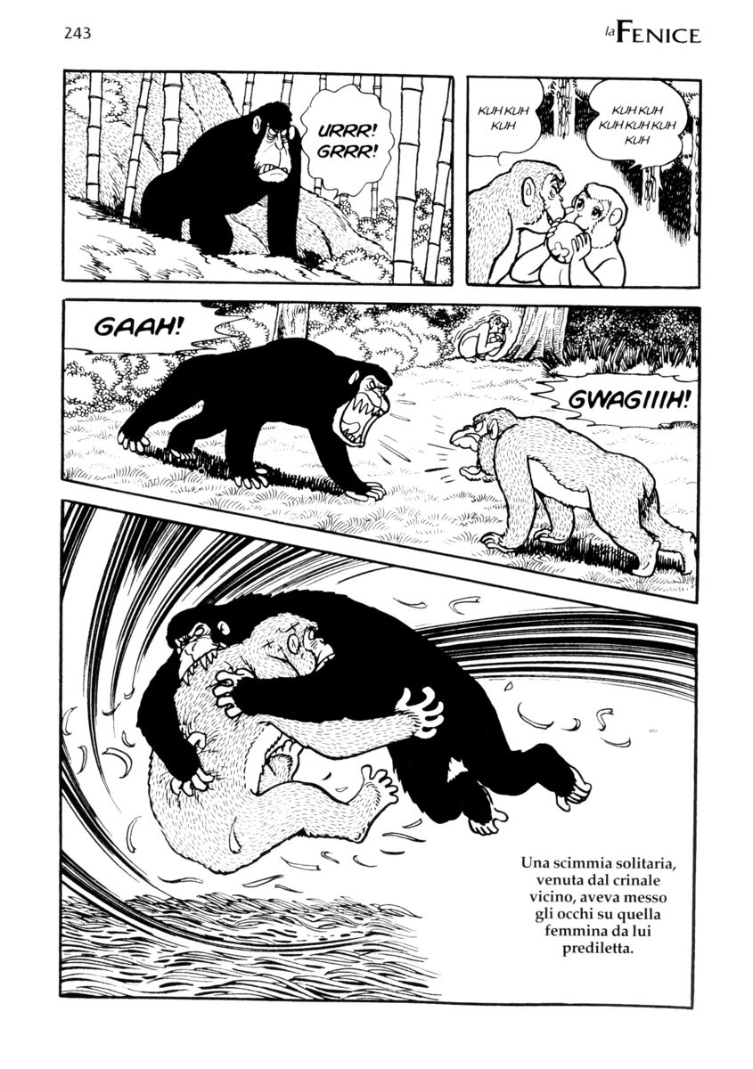 Read La fenice Manga Online