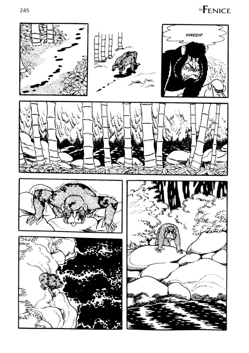 Read La fenice Manga Online