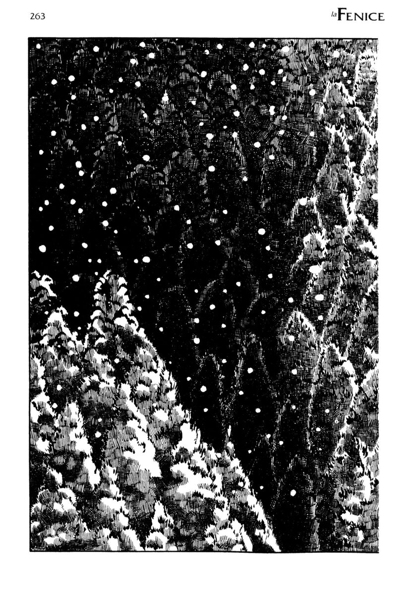 Read La fenice Manga Online