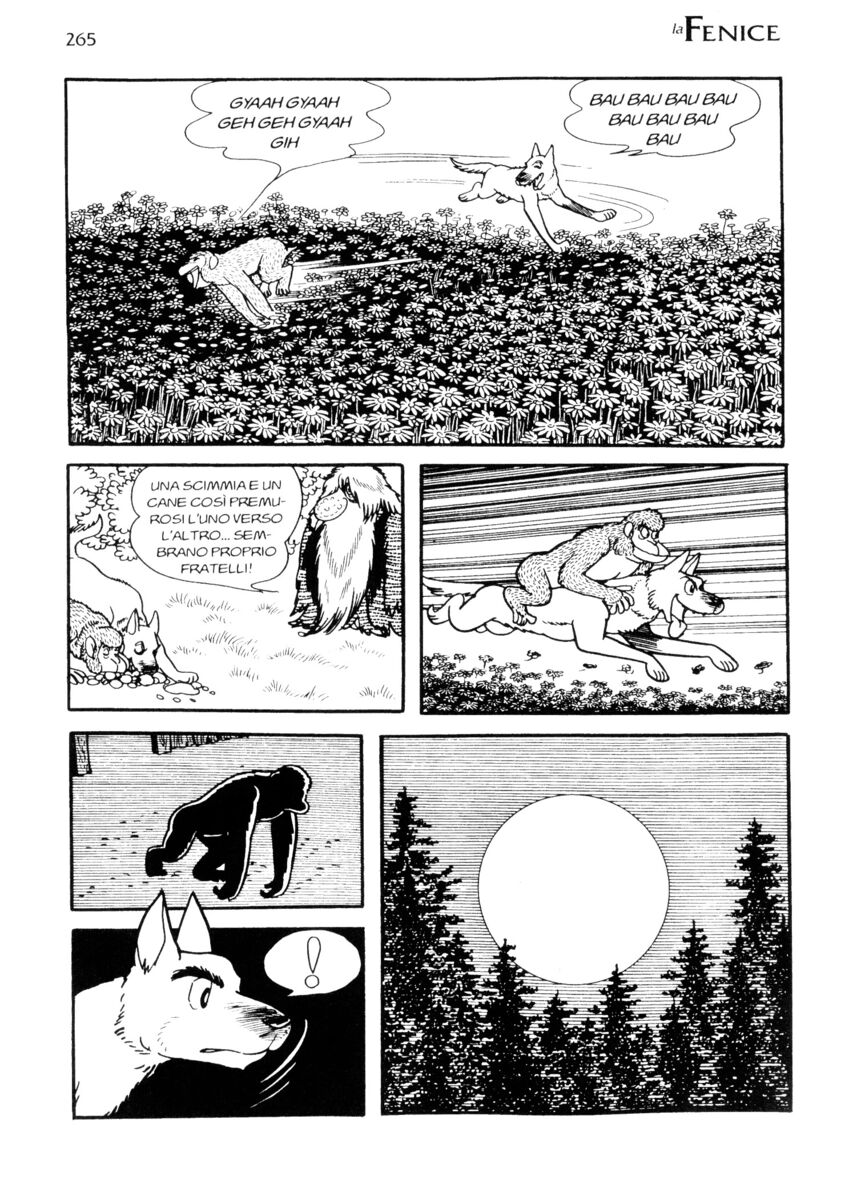 Read La fenice Manga Online