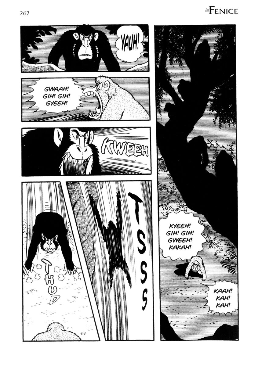 Read La fenice Manga Online