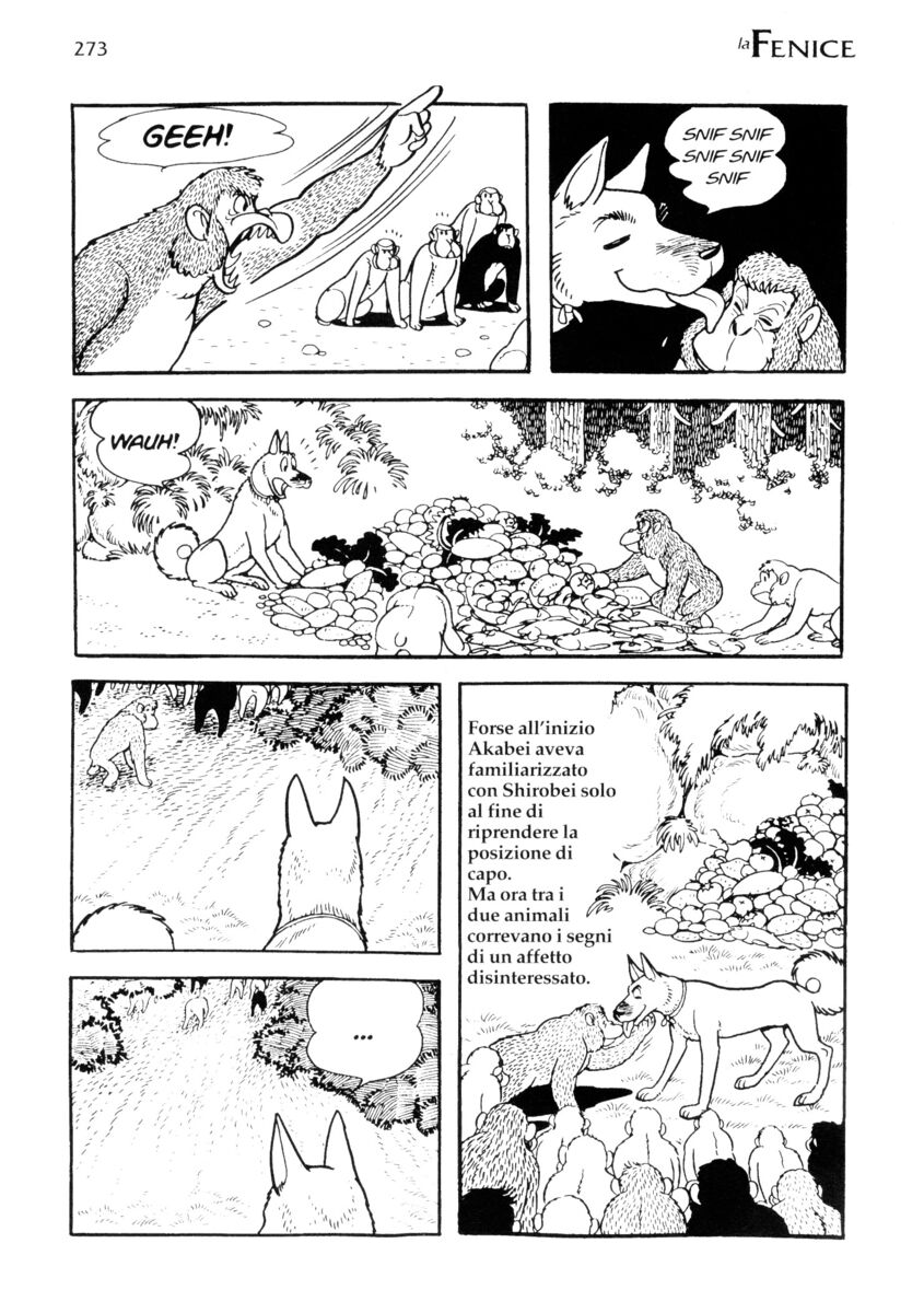 Read La fenice Manga Online