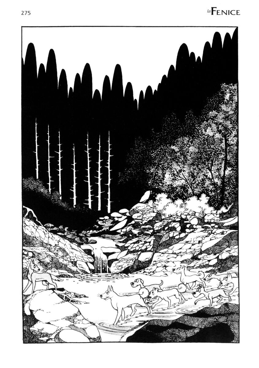 Read La fenice Manga Online