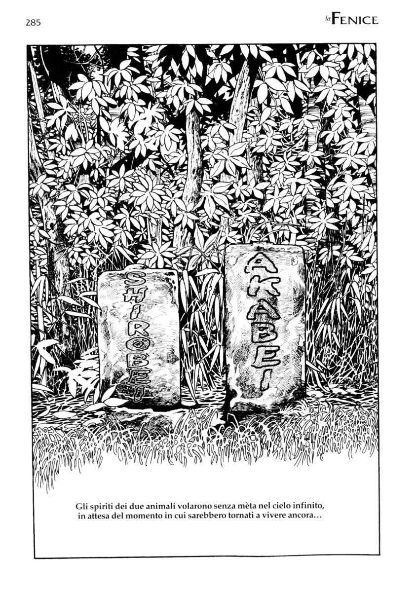 Read La fenice Manga Online