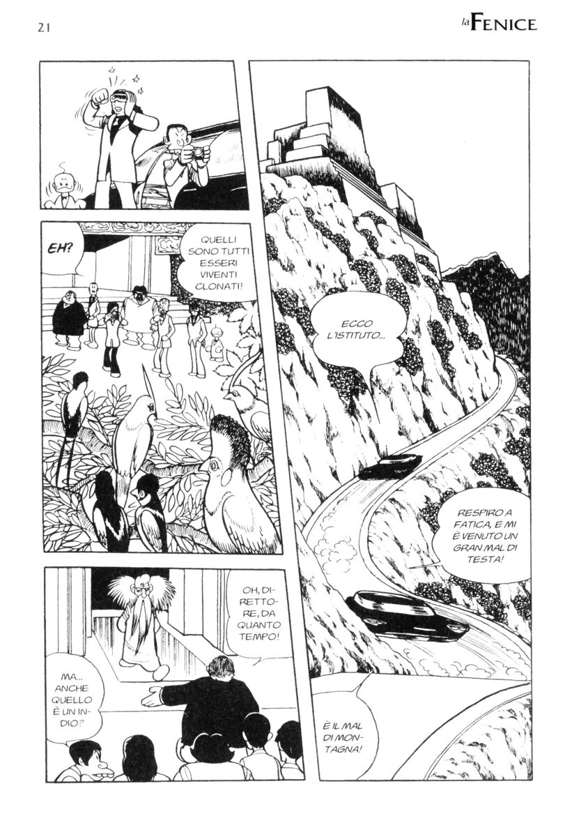 Read La fenice Manga Online