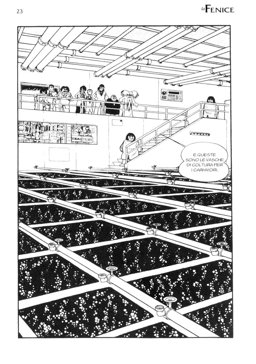 Read La fenice Manga Online