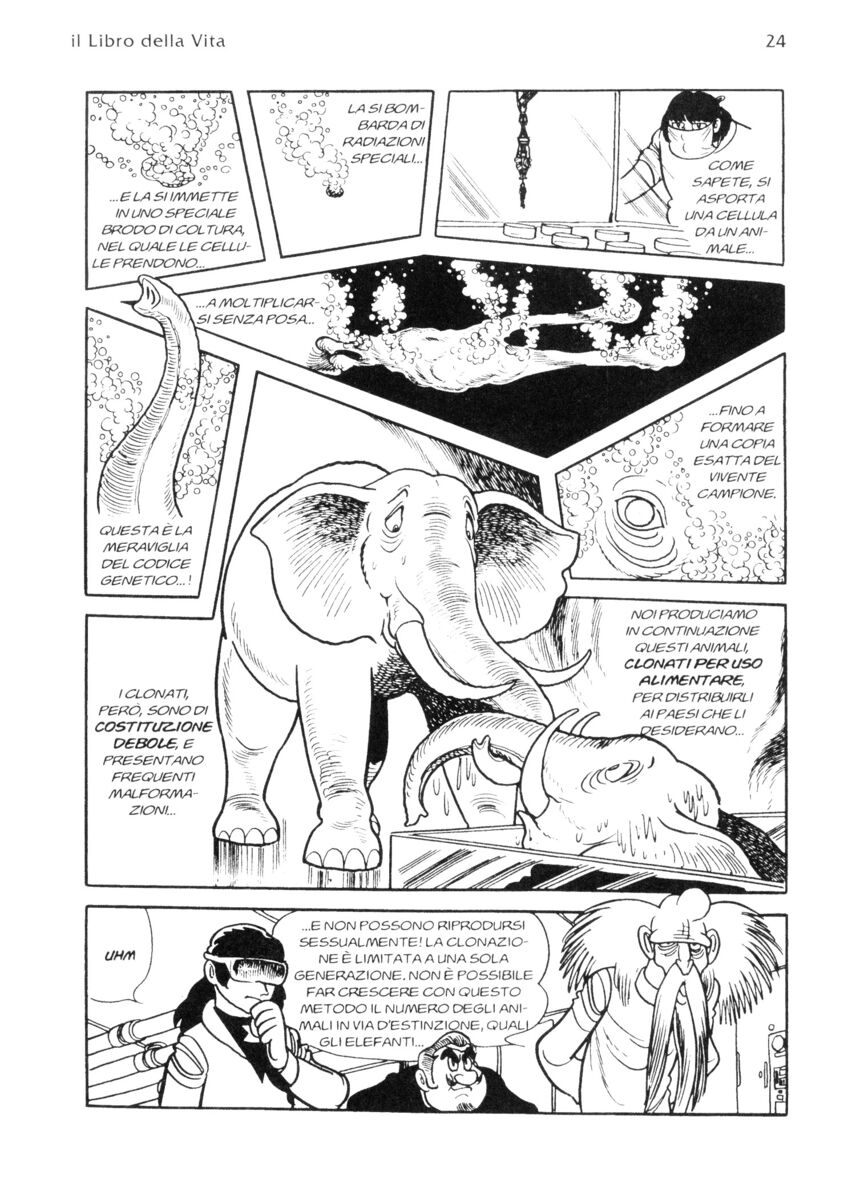 Read La fenice Manga Online