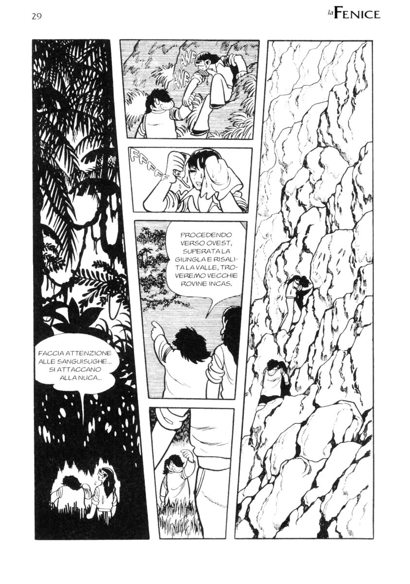 Read La fenice Manga Online