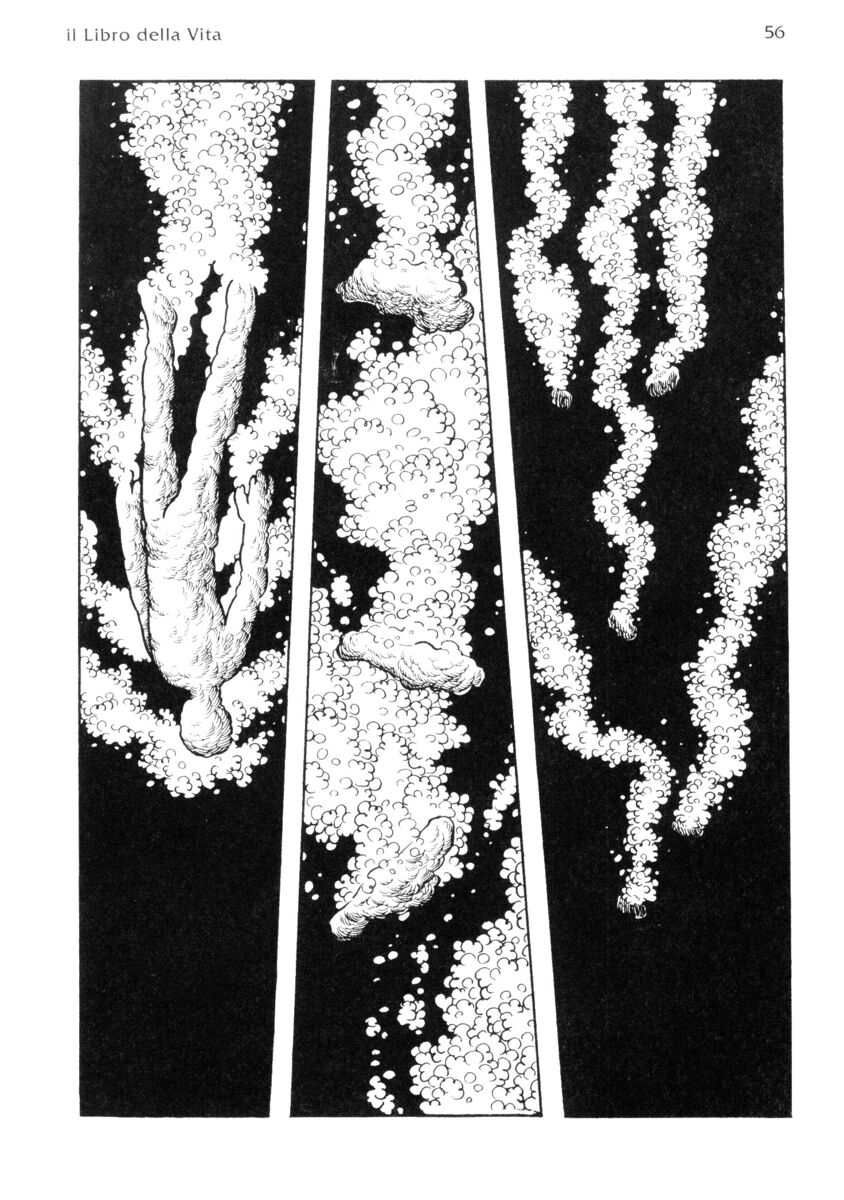 Read La fenice Manga Online