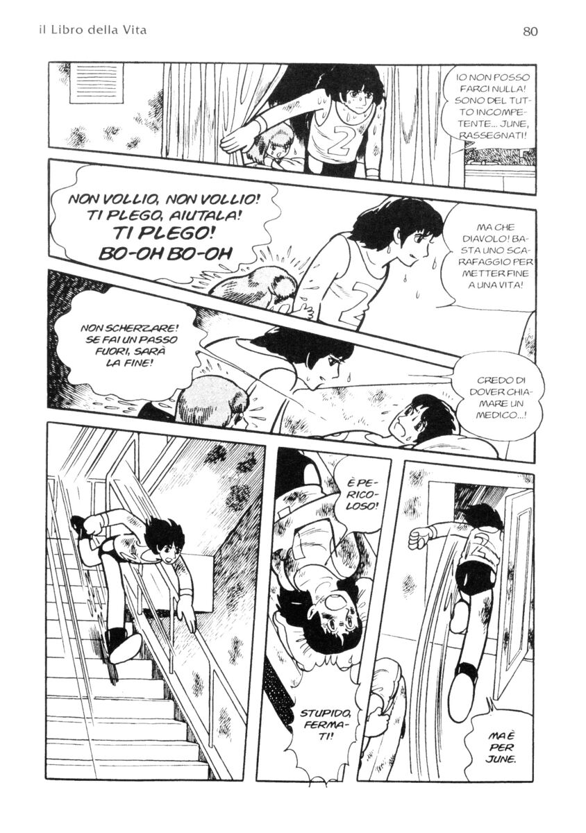 Read La fenice Manga Online